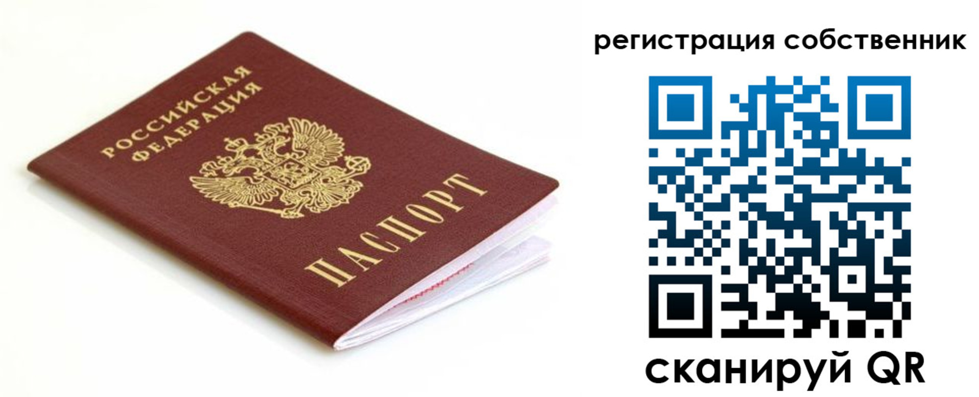 временная регистрация надежно в Курской области